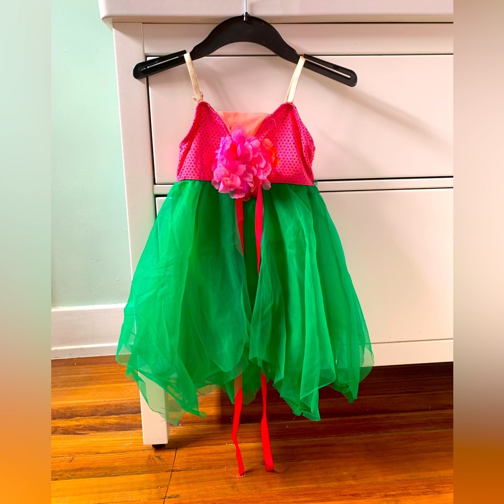 Dansco dance costume